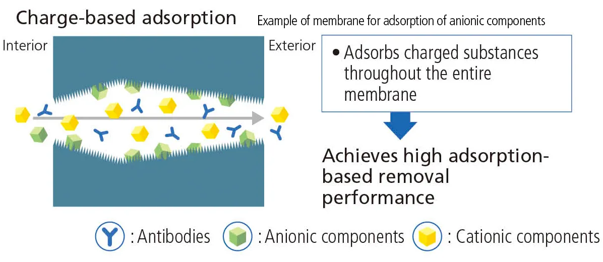 Charge-based adsorption