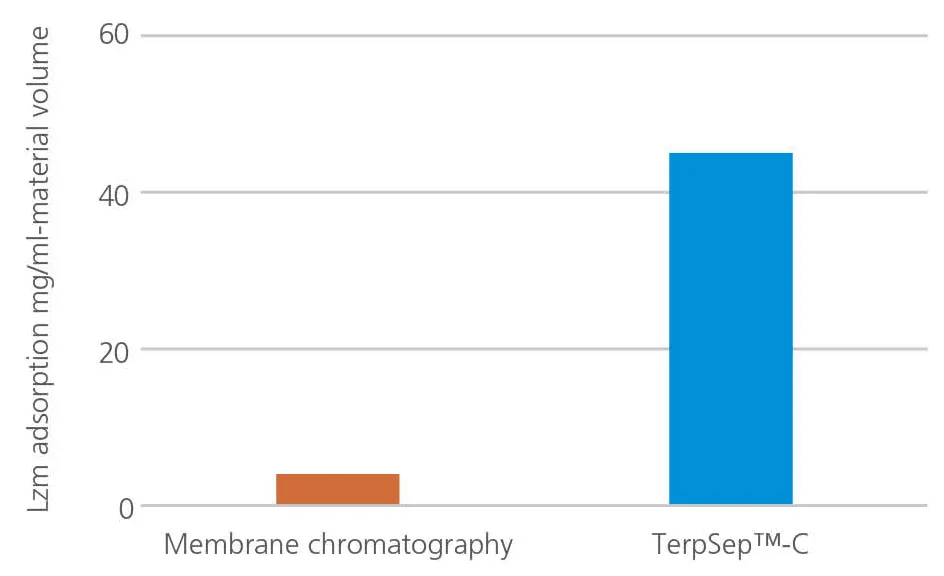Albumin adsorption