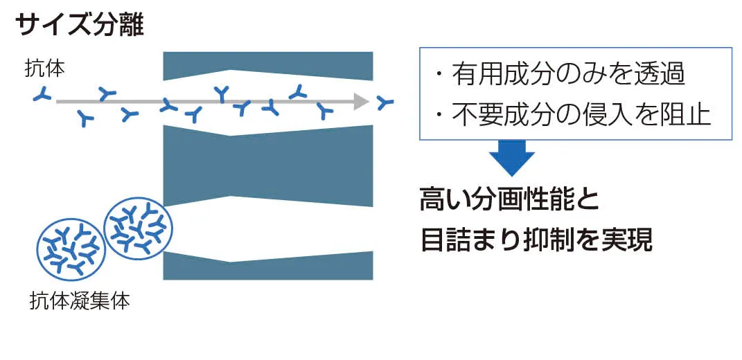 サイズ分離